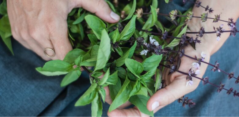 Petra Pfann - TCM Wien